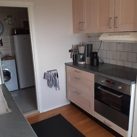 Prázdninový dům Aurora Borialis Cabin *