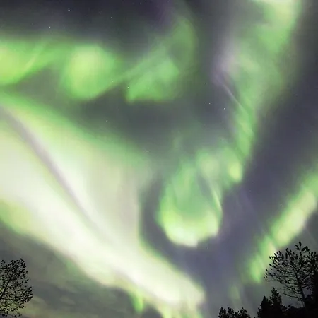 Aurora Borialis Cabin * Mestervik