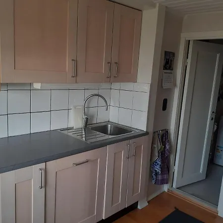 Prázdninový dům Aurora Borialis Cabin *
