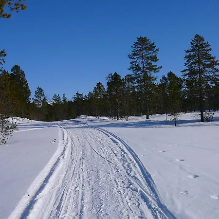 Aurora Borialis Cabin * Mestervik