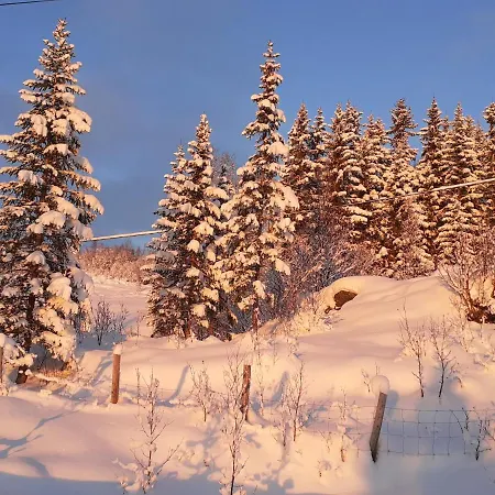 Aurora Borialis Cabin *